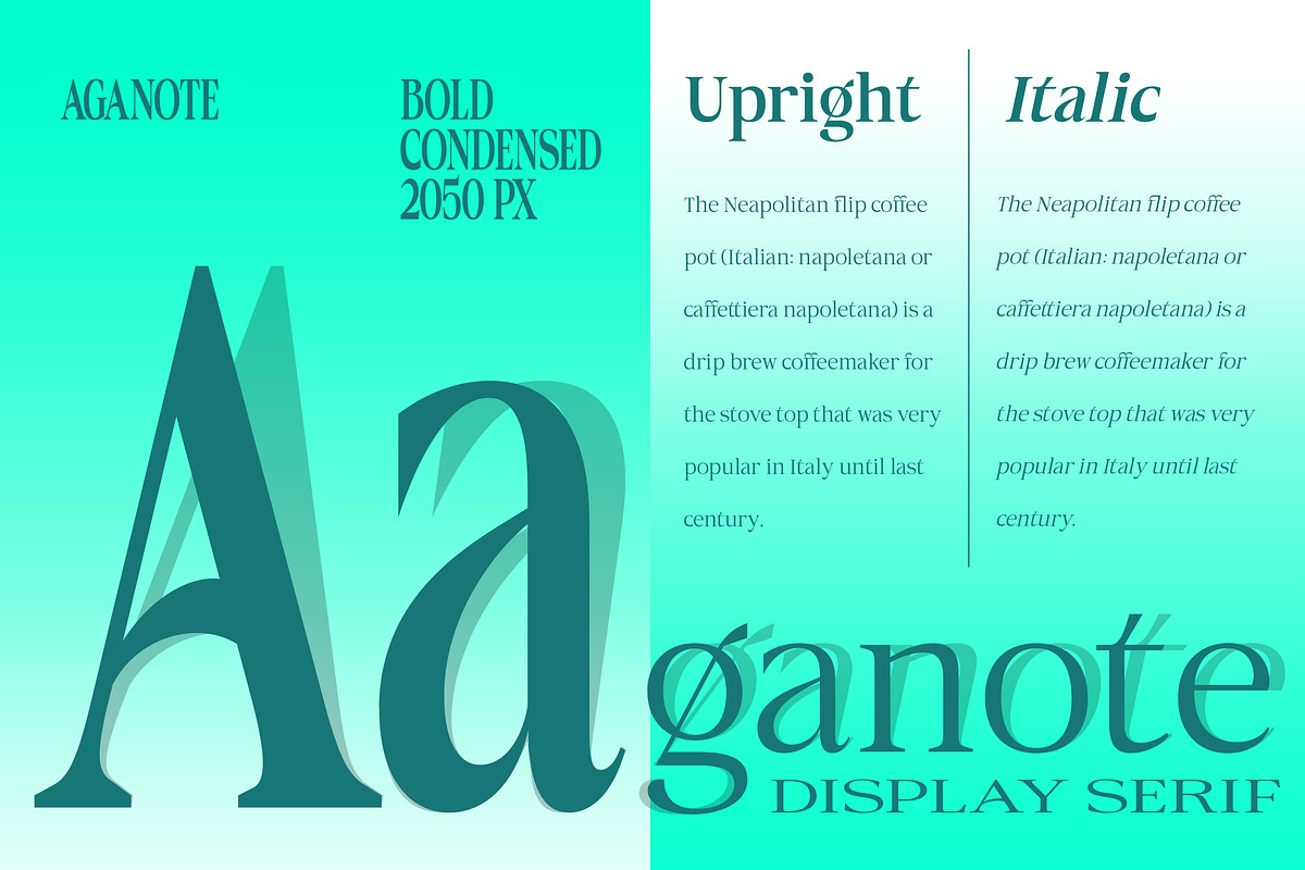 Aganote Typeface | 91 Style Font, a Serif Font by Bosstype Studio (Photo 2 of 12)