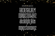 Satoru, a Serif Font by lelevien (Thumbnail 3 of 5)