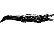 Crocodile Alligator Vector Bundle, an Illustration by jahid234 (Thumbnail 4 of 51)