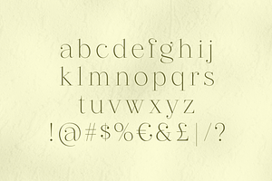 Revaux Elegant Serif Typeface