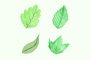 Vector watercolor natural set, a Graphic by lycka (Thumbnail 4 of 4)
