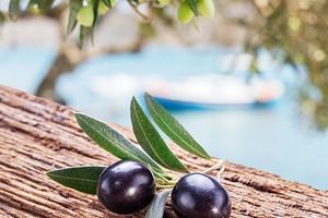 Two fresh olives on twig over wooden table. Olive tree and blue, a Food & Drink Photo by Volff