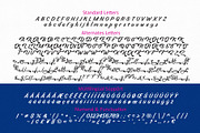 Billy Coaster Modern Retro Typeface, a Script Font by HIRO.std (Thumbnail 10 of 11)