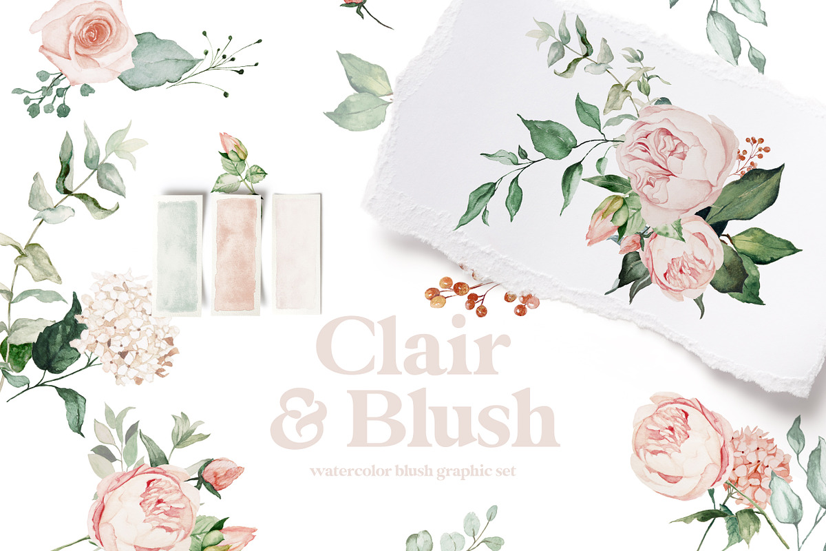 Clair & Blush - Summer Floral Set, an Illustration by studioequinox (Photo 1 of 14)