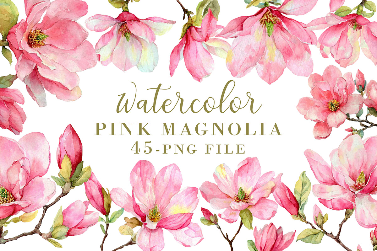 Watercolor Pink Magnolia clipart, an Illustration by Libby Wishes (Photo 1 of 7)