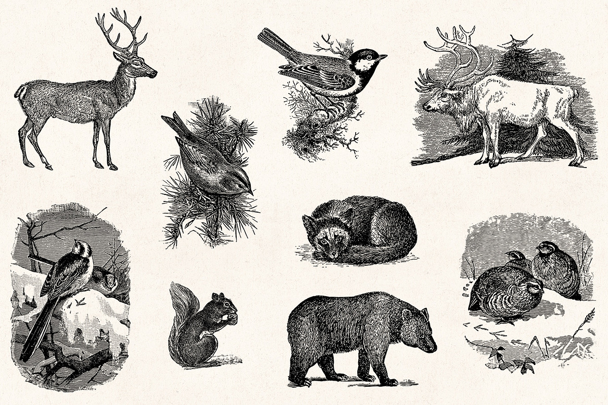 Winter Holidays - Vintage Engravings, a Decorative Illustration by Graphic Goods (Photo 5 of 10)