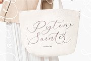Adventur Kintent Stylish Calligraphy, a Script Font by stylishtype.co (Thumbnail 13 of 20)