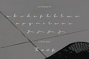 Ilyra - Modern Calligraphy Script Fo, a Script Font by Flawless And Co (Thumbnail 10 of 10)