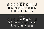 Briesa - Modern Elegant Display Font, a Font by Mily Studio (Thumbnail 13 of 15)