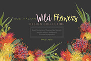 Australian Wild Flowers Collection, an Illustration by Sketchbook Designs (Thumbnail 1 of 10)