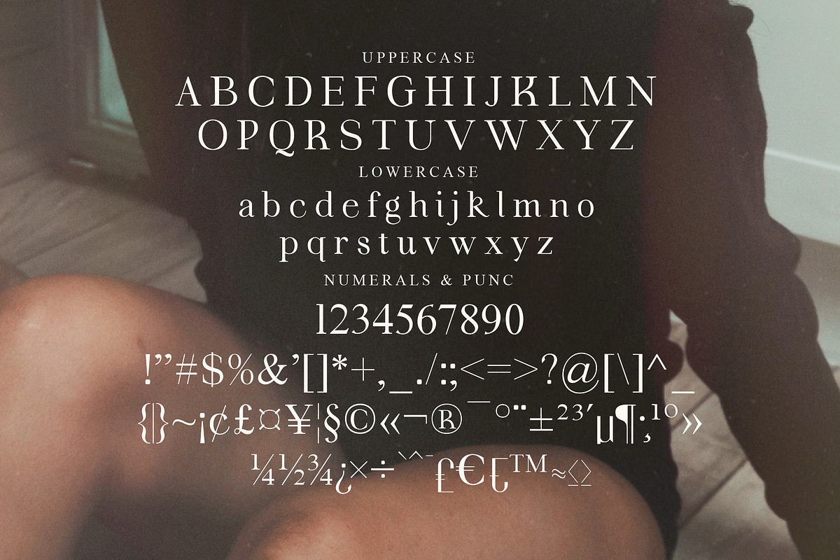 Fortela Typeface Font, a Serif Font by Storytype Studio (Photo 14 of 15)