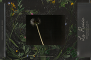 La Rosee Botanical Backgrounds, a Wallpaper Graphic by nadispasibenko (Thumbnail 2 of 9)