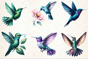 Watercolor Hummingbird Clipart, an Illustration by Rose Art (Thumbnail 4 of 4)
