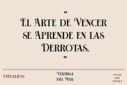 HST - Vermiga del Rose, a Serif Font by ilhamtaro (Thumbnail 4 of 10)