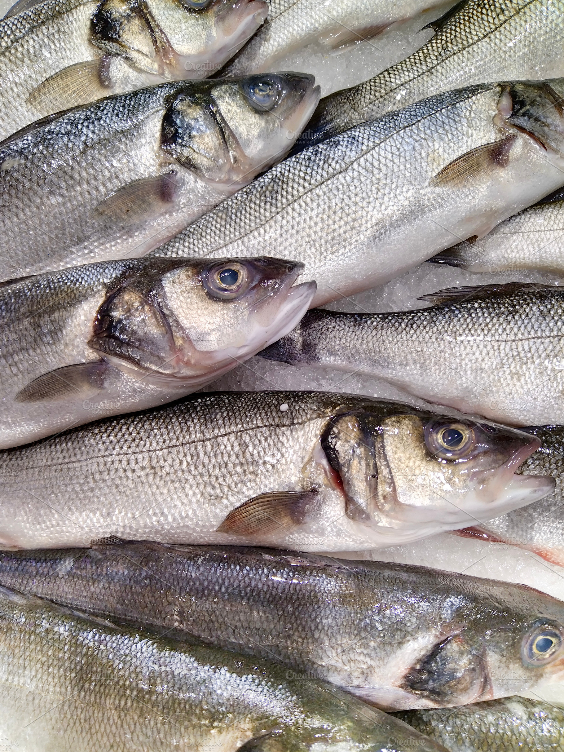 Silver fish displayed on ice, a Food & Drink Photo by DanFLCreativo