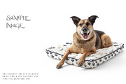 Pet Bed Mockups with Smart Object, a Product Mockup by mock-ups (Thumbnail 4 of 13)