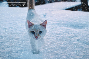 50 Realistic Snow Overlays