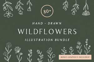 Wildflowers - Handdrawn Illustration