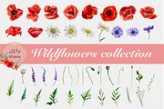 Watercolor wildflowers collection, a Decorative Illustration by mArtstore (Thumbnail 1 of 8)