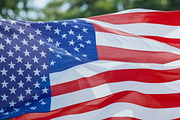 American flag, Memorial day, a Background Graphic by Anamul Haque Anik (Thumbnail 5 of 5)