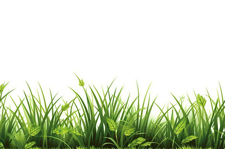 Illustration of green grass isolated on white background. Genera, a Nature Photo by AlyaAnd