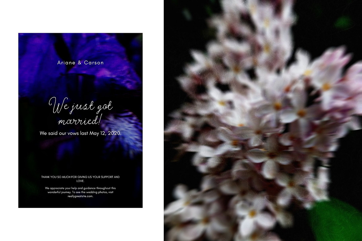 Dark bloom. Floral Backgrounds, a Background Graphic by PaperJamLab (Photo 7 of 14)