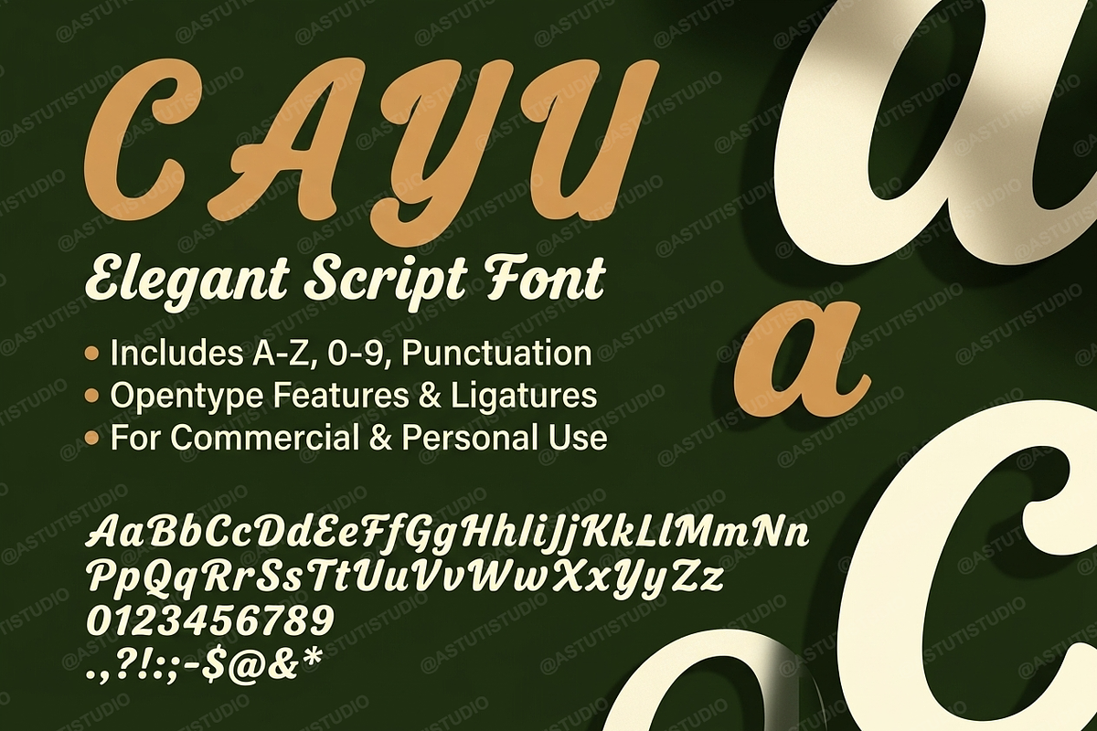 Cayu - Refined Modern Serif, a Serif Font by Astuti Studio (Photo 2 of 23)