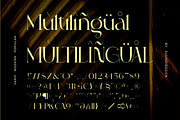 Abigail - Popular Classy Modern Seri, a Serif Font by suhadidesign (Thumbnail 11 of 14)