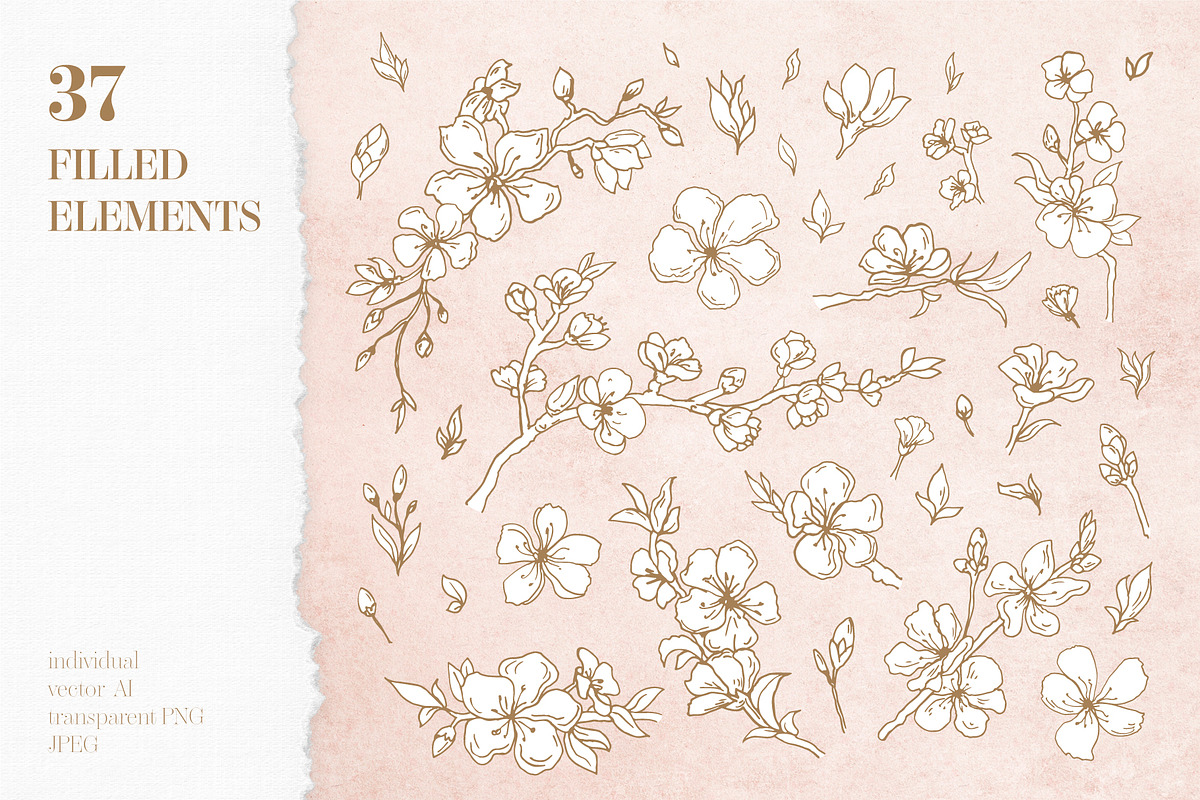 Cherry Blossom graphic set, an Illustration by EkaterinaKiriy (Photo 3 of 13)