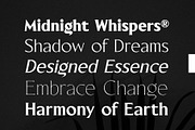 Blackney Font Family, a Serif Font by Arterfak Project (Thumbnail 3 of 14)