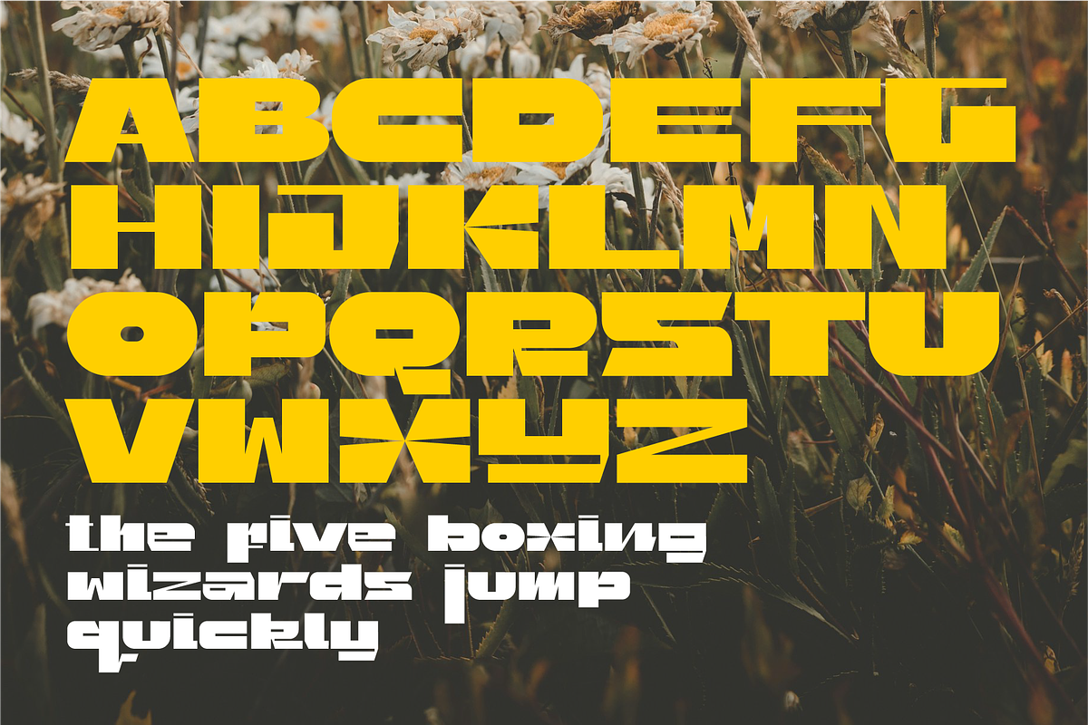Dumpie Typeface, a Font by evemiriam (Photo 6 of 6)