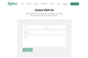 FlyDent-Doctor & Dentist WP Theme