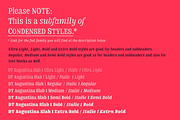 DT Augustina Slab 1 Subfamily, a Slab Serif Font by Deveze Type Foundry (Thumbnail 2 of 31)