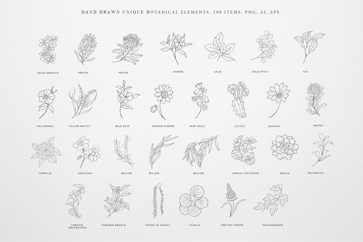 Botany & Moon. Hand Drawn Line Art., a Decorative Illustration by Designwork (Photo 2 of 20)