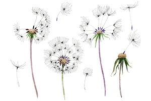 Bouquet Rainbow Dandelion Watercolor