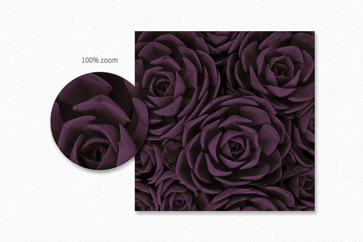 Aubergine Textures, a Texture Graphic by rileyBgraphics (Photo 8 of 8)