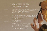 Menasha Brown New Hybrid Typeface, a Serif Font by Storytype Studio (Thumbnail 14 of 15)