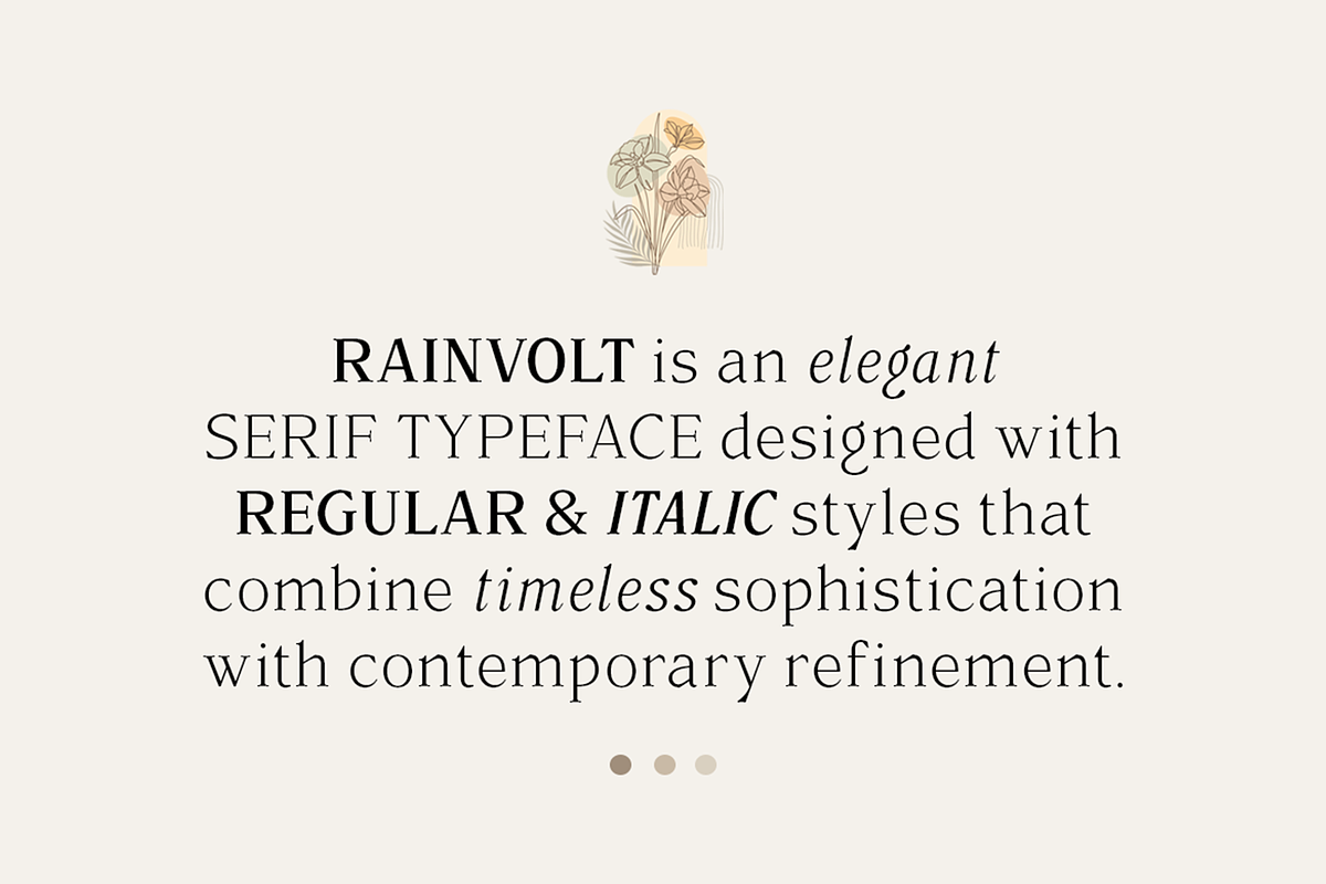 Rainvolt Classic Letterforms, a Serif Font by roomspace creative lab (Photo 2 of 13)