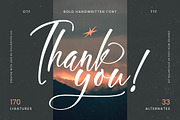 Skyerting Bold Handwritten Font, a Script Font by stylishtype.co (Thumbnail 20 of 20)