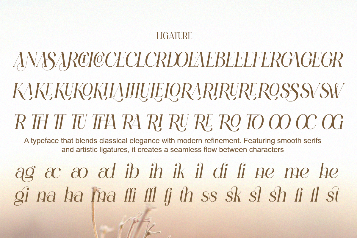 Serenity Bloom - Elegant Stylish, a Serif Font by Qweera Studio (Photo 10 of 11)