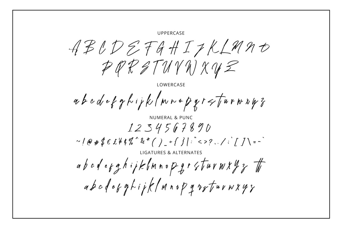 Westerning - Brush Signature, a Handwritten Font by tebaltipislab (Photo 11 of 12)