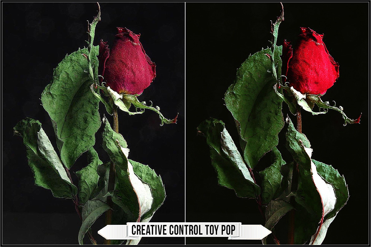 Leica Creative Controls Profiles, a Plug-in Add-On by Raztrend (Photo 13 of 30)