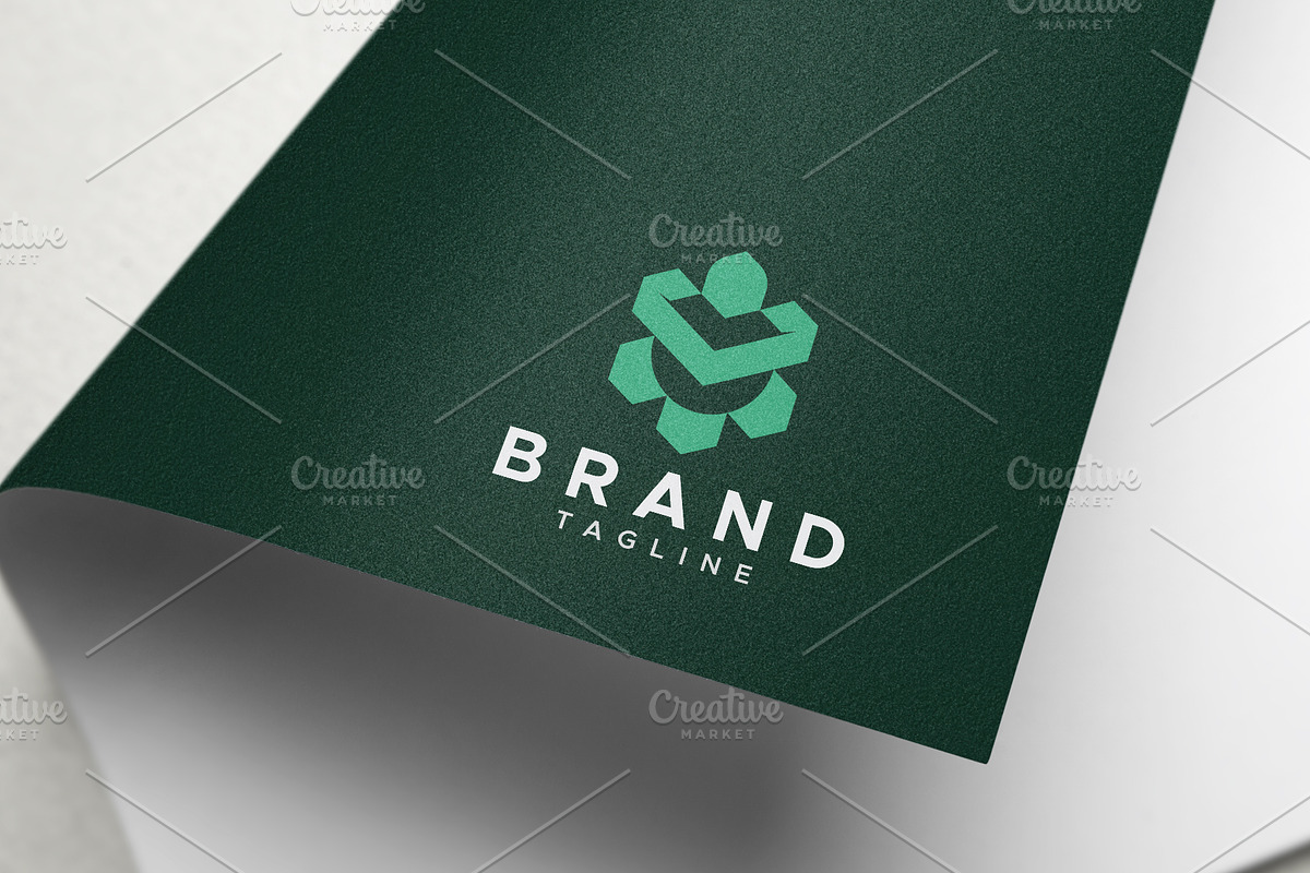 Turtle hexagon logo design, a Branding & Logo Template by Amadul11 (Photo 3 of 4)