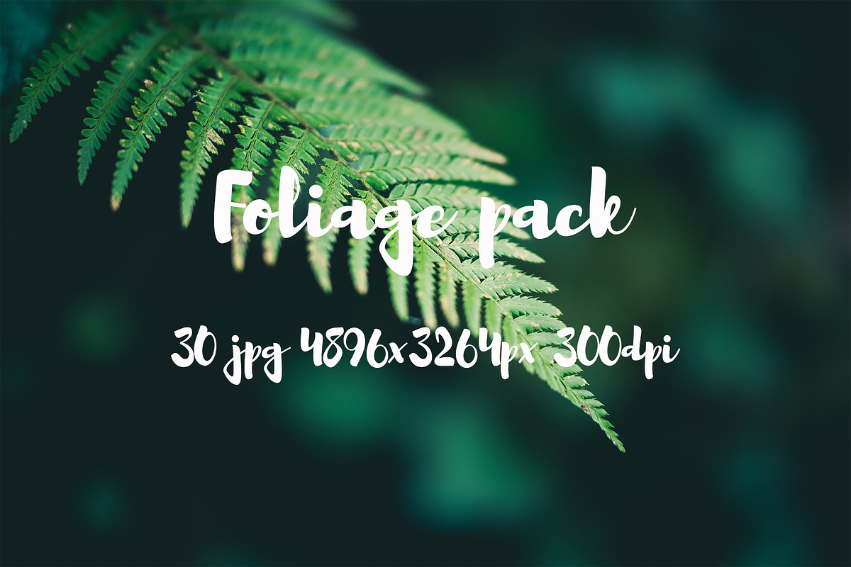 Foliage pack, a Templates & Theme by ApertureVintage (Photo 2 of 21)
