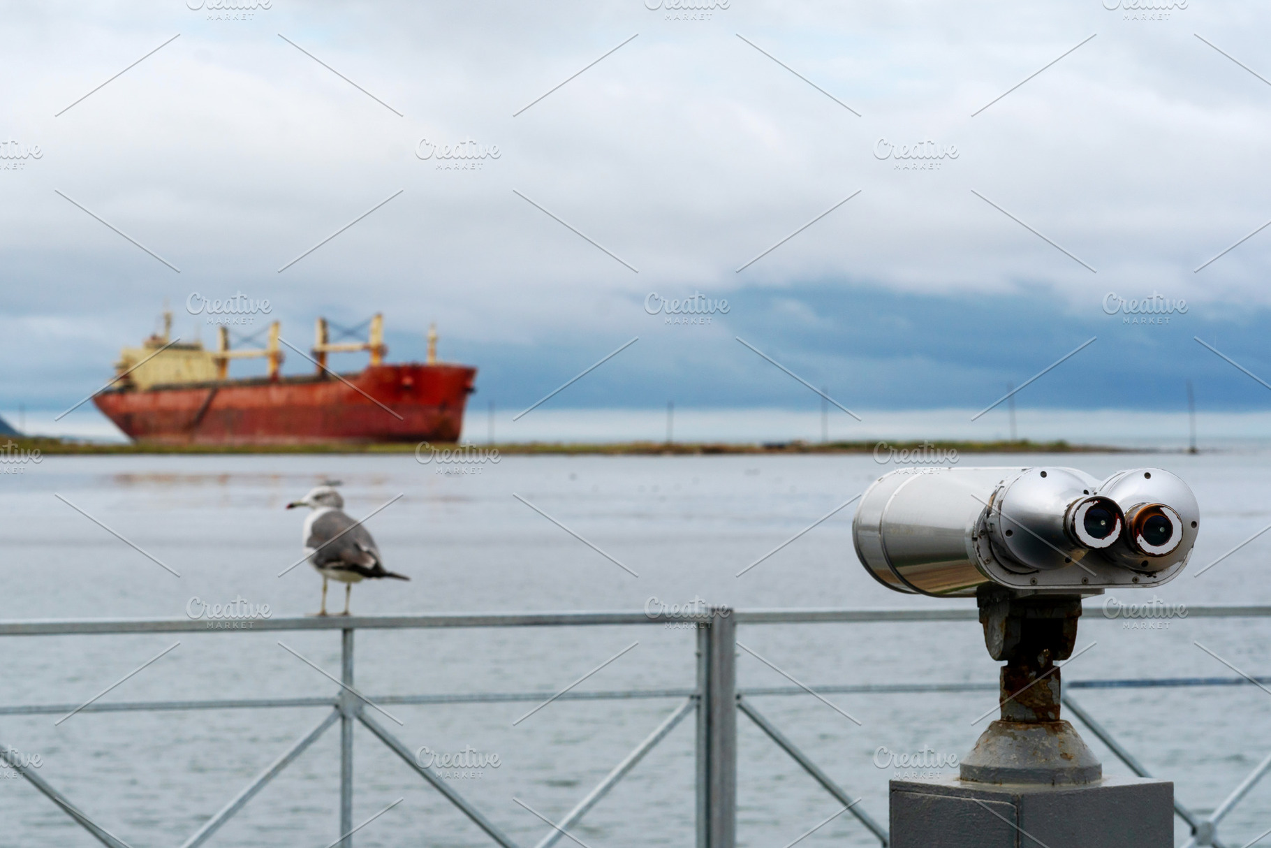 Seagull and binoculars overlooking, a Background Photo by Elena Vagengeim