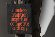 Qandera Modern Display Serif, a Serif Font by timelesstype.co (Thumbnail 8 of 15)