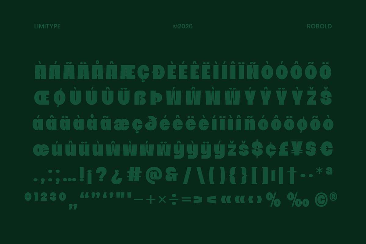 Robold - Bold Display Font, a Sans Serif Font by limitype (Photo 11 of 12)