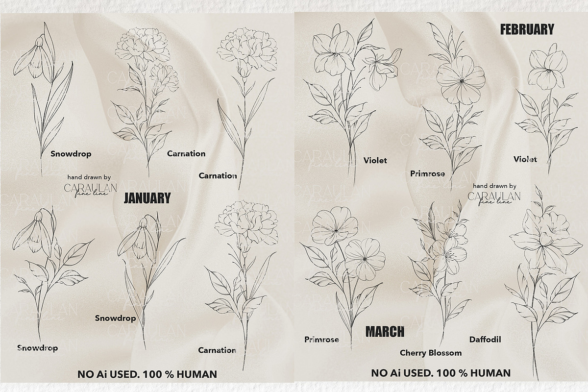 Birth FLOWER Stamps Jan-June, a Brush Add-On by CaraulanStore (Photo 2 of 5)
