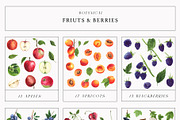 Fruits & Berries Botanical, a Food Illustration by LiChu Art (Thumbnail 7 of 14)