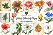Vintage Botanical Paper Clipart PNG, an Illustration by SinaCreation (Thumbnail 1 of 5)